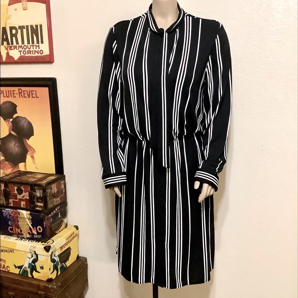 Ann Taylor Black and White Striped Long Sleeve Dress